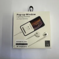 Lightning iPhone headphones